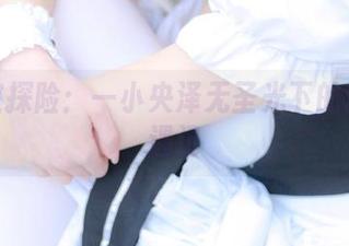 办公室探险：一小央泽无圣光下的图包奇遇记