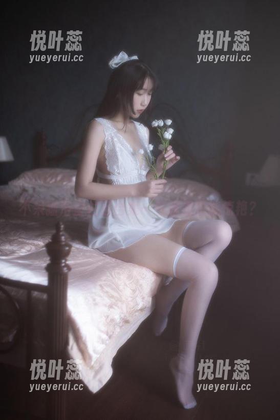 不呆猫浴室栏目合集—在水里也能惊艳？